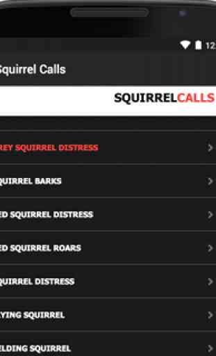 Squirrel Call-Squirrel Hunting 4