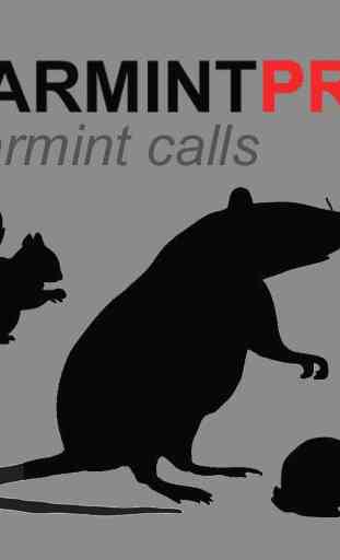 Varmint Calls for Hunting 1