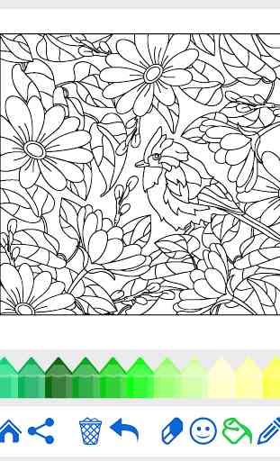 Adult Coloring: Flowers 2