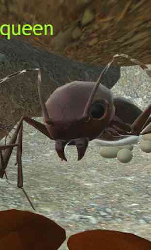 Ant Simulator 3D 4