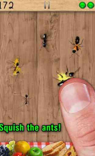 Ant Smasher Free Game 1