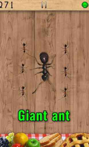 Ant Smasher Free Game 4