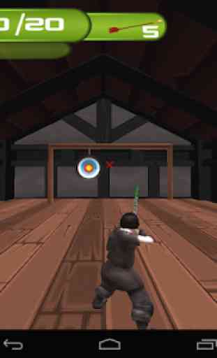 Archery Master 3D Advance 3