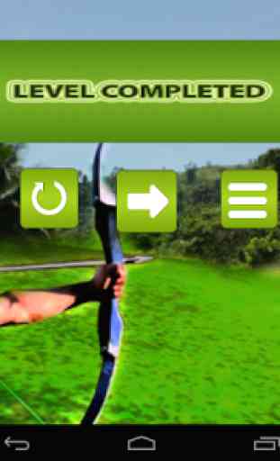 Archery Master 3D Advance 4