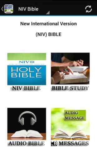 Bible Study NIV KJV AMP NASB 2