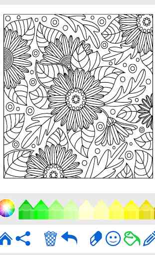Coloring Book for Adults 3