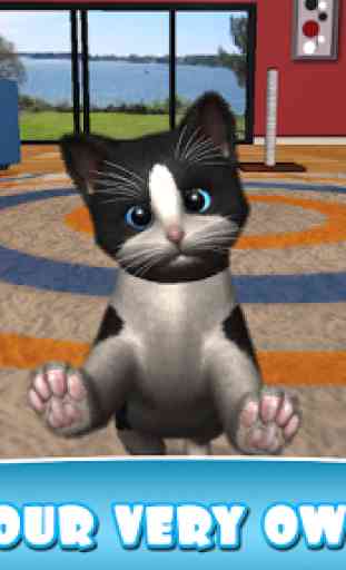 Daily Kitten : virtual cat pet 1