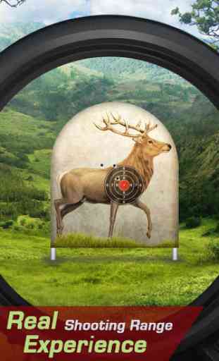 Deer Target Shooting 1
