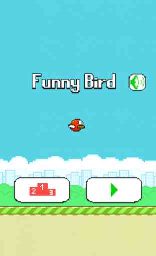 Funny Bird  4