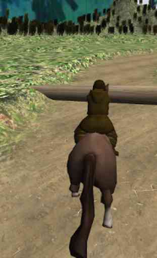 Horse Jumping Master 3