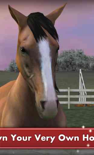 My Horse 1