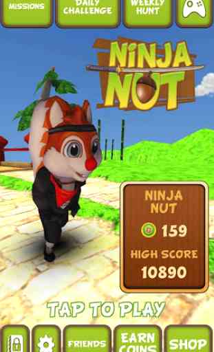 Ninja Nut: Taichi Legend Dash! 1
