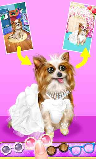 Pet Wedding Party Beauty Salon 3