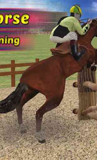Police Horse Training 1