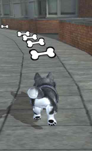 PS Vita Pets: Puppy Parlour 1