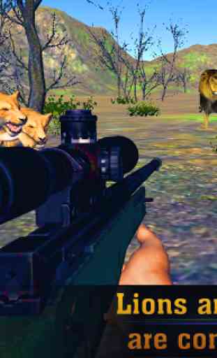 Real Lion Hunter 2