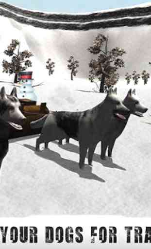 Snow Dog Sledding Simulator 3D 2