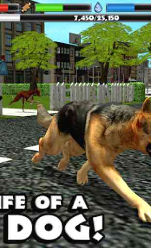 Stray Dog Simulator 1