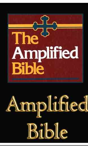 The Amplified Bible 4