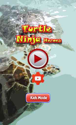 Turtle Ninja heroes 1