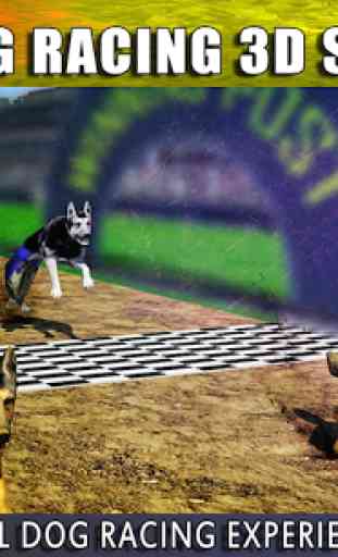 Virtual Dog Racing Champions 1