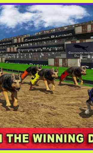 Virtual Dog Racing Champions 3