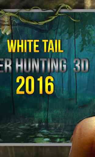 White Tail Deer Hunting 2016 1