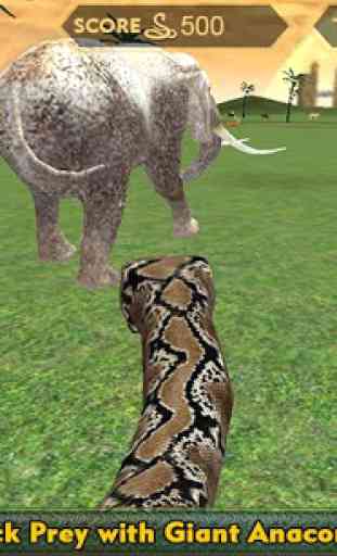 Wild Anaconda Snake Attack Sim 4