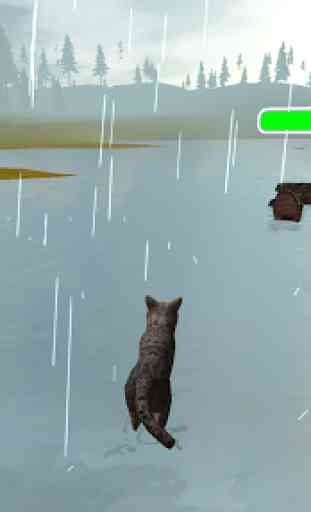 Wild Cat Survival Simulator 4