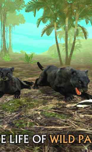 Wild Panther Sim 3D 1