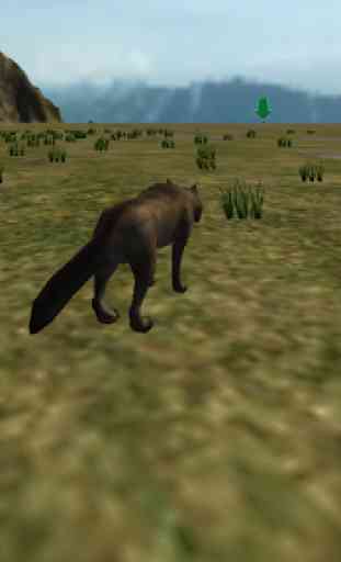 Wild Wolf Simulator 4