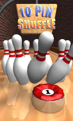 10 Pin Shuffle Bowling 1