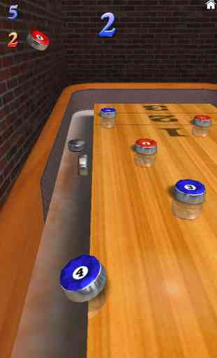 10 Pin Shuffle Bowling 3