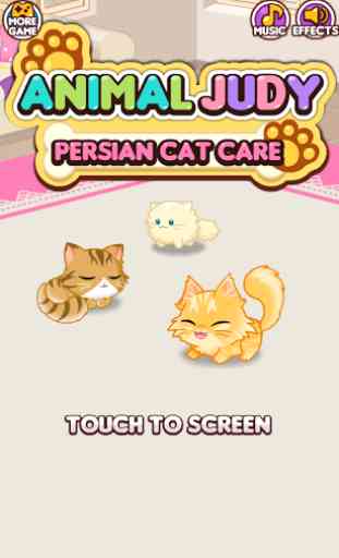Animal Judy: Persian cat care 1