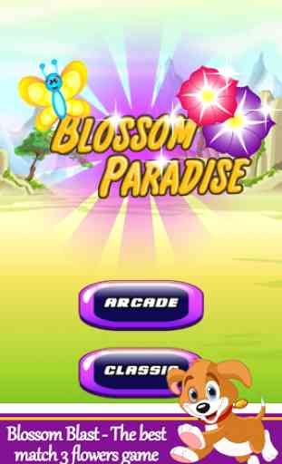 Blossom Paradise 1