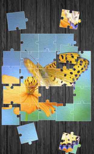 Butterfly Jigsaw Puzzle 2