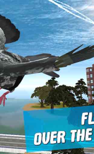 City Bird Pigeon Simulator 3D 1