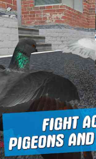 City Bird Pigeon Simulator 3D 2