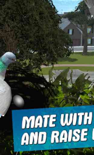 City Bird Pigeon Simulator 3D 4