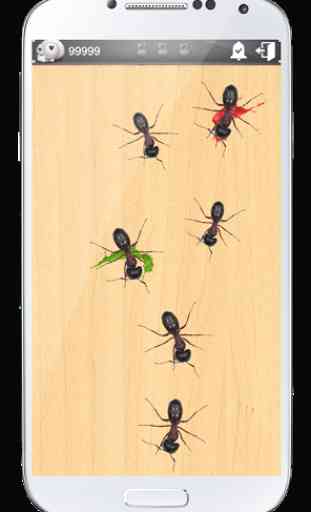 Crush Ants 3D 2