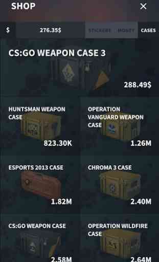CSGO Cases | Weapons And Cases 3