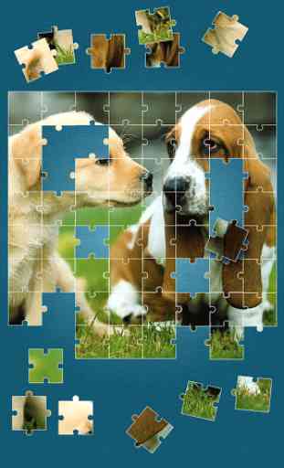 Cute Dogs Jigsaw Puzzle 1
