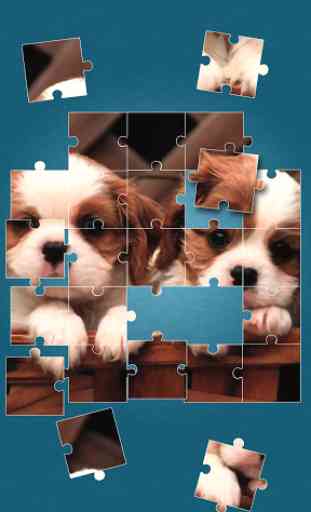 Cute Dogs Jigsaw Puzzle 2