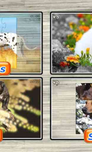 Dog Puzzles Kids Games 3