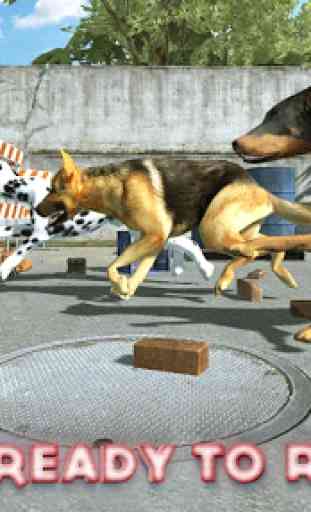 Dog Racing : Dog Games 1