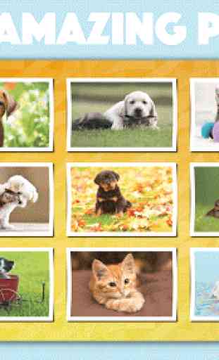 Dogs Jigsaw Puzzles Games Kids 2