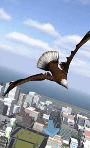 Eagle Bird City Simulator 2015 1