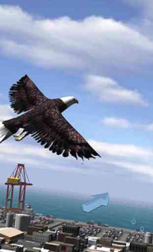 Eagle Bird City Simulator 2015 2