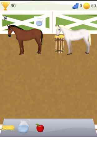 Horse Care Game 2 1