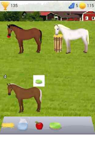 Horse Care Game 2 3